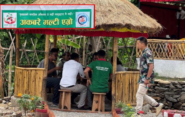 गोरखा पालुङटारमा अकबरे मल्टिएग्रो फार्मको शुरुवात